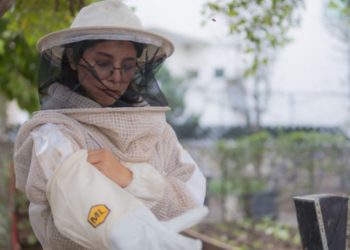 Abejas en Montemorelos: El motor invisible que sostiene al campo